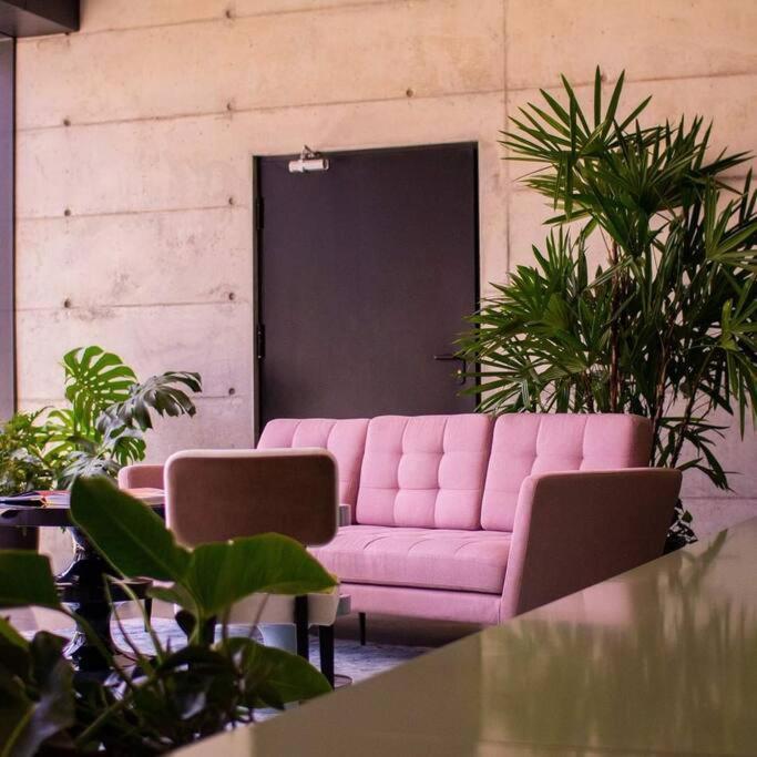 Cosmopolitan Apt 1407, 5 Star Facilities, 15M Sjo Airport, Parking, Pool, Gym San José Exterior foto